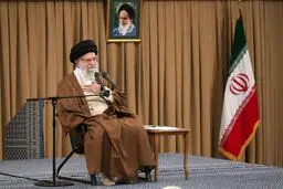 Iran has no proxy forces in region: Leader
