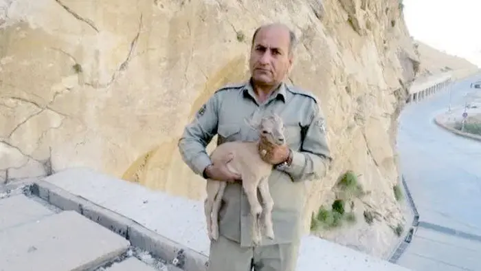 ۱۰۳ روز بلاتکلیفی