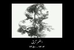 اعظم آیتی درگذشت