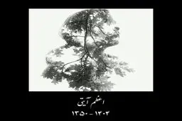 اعظم آیتی درگذشت