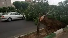 افزایش دمای هوای ایران 
