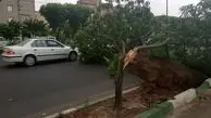 طوفان تندری در راه تهران و برخی استان‌های ایران
