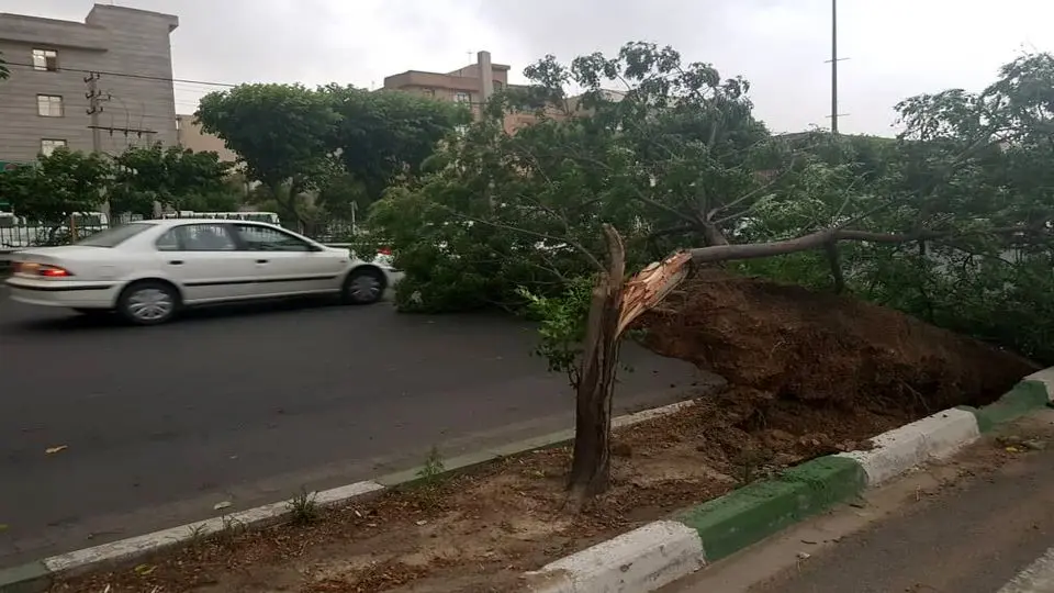 طوفان تندری در راه تهران و برخی استانهای ایران