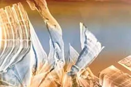 ‌«در مرکز هیچ» (1)

