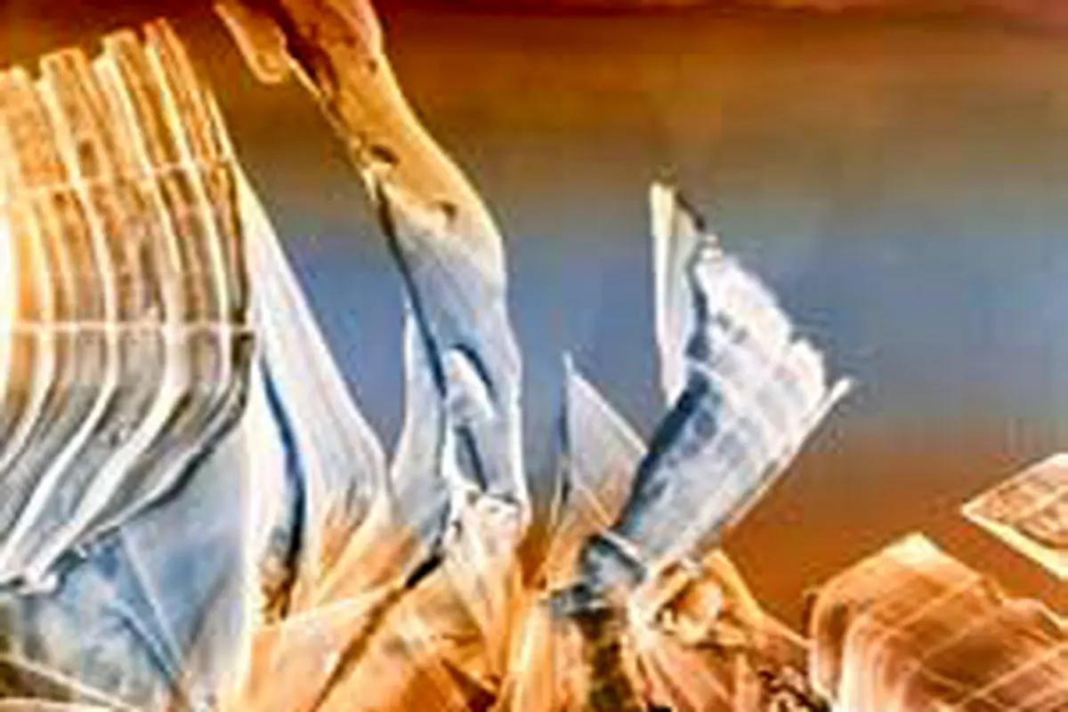 ‌«در مرکز هیچ» (1)

