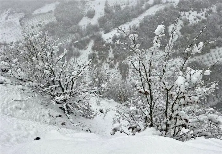 پیش بینی هوای لرستان؛ شنبه ۶ دی ۱۴۰۴/ رگبار در راه است