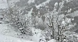 پیش بینی هوای لرستان؛ شنبه ۶ دی ۱۴۰۴/ رگبار در راه است