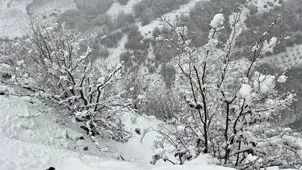 پیش بینی هوای لرستان؛ شنبه ۶ دی ۱۴۰۴/ رگبار در راه است