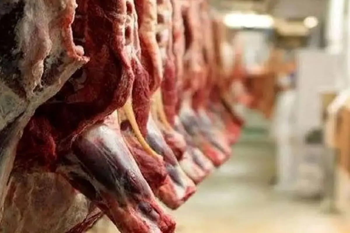 قیمت گوشت قرمز امروز شنبه ۴ مهر ۱۴۰۵/ گوشت گوسفندی و گوساله کیلویی چند؟ + جدول