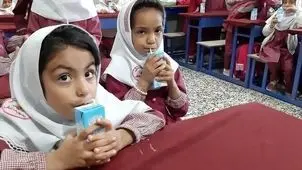 در مدارس ابتدایی خراسان جنوبی شیر توزیع می‌شود
