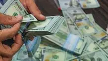 قیمت ارز و ظرفیت تحمل اقتصاد

