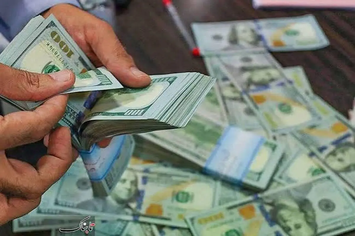 قیمت ارز و ظرفیت تحمل اقتصاد

