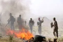 جنگل ابر در شاهرود درگیر آتش 