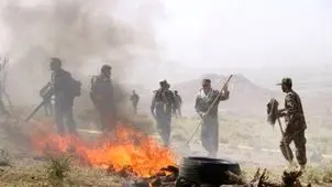 جنگل ابر در شاهرود درگیر آتش 