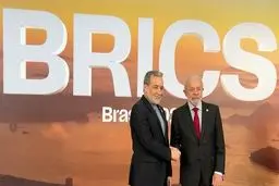 هفدهمین اجلاس سران بریکس در برزیل آغاز شد