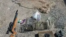 مجازات شکارچی چهار قلاده روباه در چالوس مشخص شد
