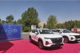تحویل ۱۰۰ خودروی وارداتی پس از ۸ ماه