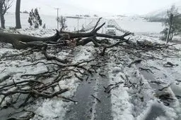 بارش شدید و سیل در آفریقای جنوبی با ۴۹ کشته