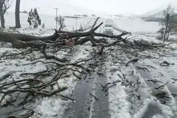 بارش شدید و سیل در آفریقای جنوبی با ۴۹ کشته