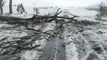 بارش شدید و سیل در آفریقای جنوبی با ۴۹ کشته