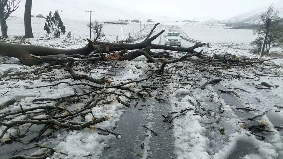 بارش شدید و سیل در آفریقای جنوبی با ۴۹ کشته