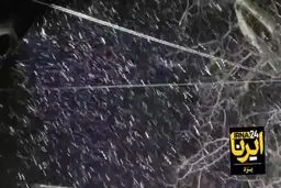 بارش اولین برف پائیزی در یزد+ ویدئو