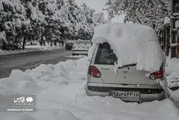 خبر مهم درباره تعطیلی مدارس، دانشگاه ها و ادارات ارومیه فردا شنبه ۲۰ بهمن