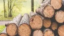 توقیف خودروی حامل چوب قاچاق در کردکوی
