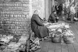 در ستایش دولت مدرن

