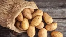 آخرین وضعیت قیمت سیب زمینی + ویدئو