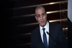 Palestine, Lebanon panel at D-8 summit to be held in Egypt
