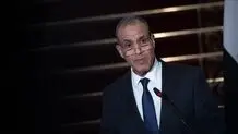 Palestine, Lebanon panel at D-8 summit to be held in Egypt
