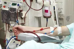 تأمین محصولات ایمن برای بیماران سلیاکی
