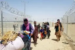 باتوجه به اخراج گسترده مهاجران افغان توسط پاکستان، نگران ورود آن‌ها به ایران هستیم
