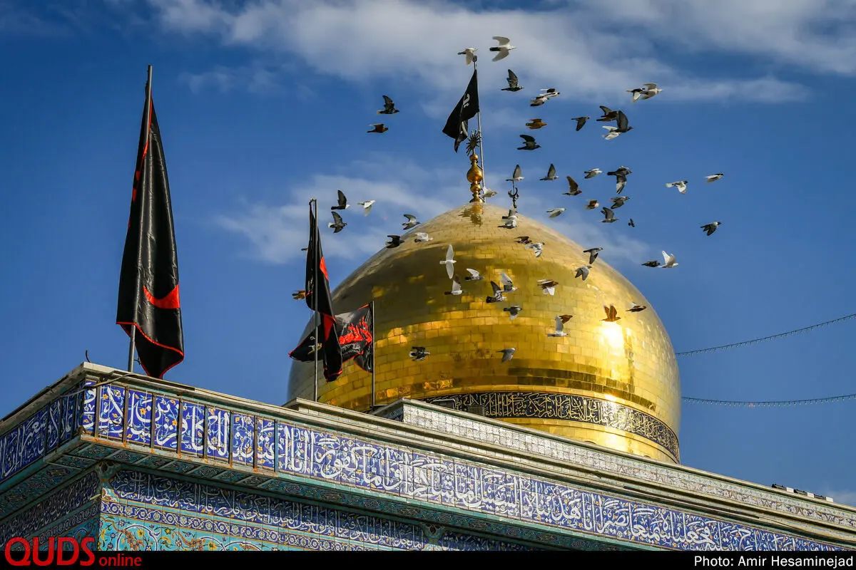 ویدیو / تخریب سنگ مزار شهدا در آرامگاه سیده زینب سوریه