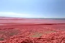 آب این شهر سرخ شد + عکس