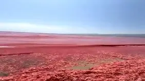 آب این شهر سرخ شد + عکس
