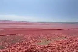 آب این شهر سرخ شد + عکس