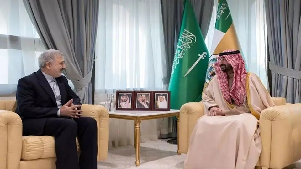 Iran envoy, Saudi minister discuss ties
