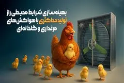 بهینه‌سازی شرایط محیطی: راز تولید حداکثری با هواکش‌های مرغداری و گلخانه‌ای