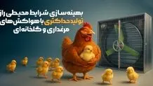 بهینه‌سازی شرایط محیطی: راز تولید حداکثری با هواکش‌های مرغداری و گلخانه‌ای