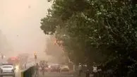 شهرداری خسارت می‌دهد 