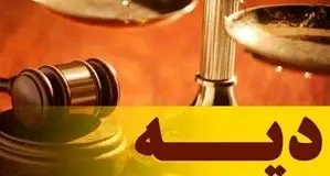 نرخ دیه سال ۱۴۰۵ اعلام شد