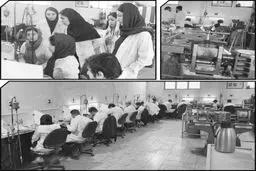 زنان به علاقه‌مندی‌های خود احترام بگذارند