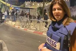 Al Jazeera journalist Shireen Abu Akleh killed in Israeli raid