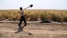 بی‌برقی کشاورزان را به خاک سیاه نشاند 