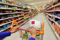 معافیت جدید گمرکی برای کالاهای اساسی و مواد اولیه تولید