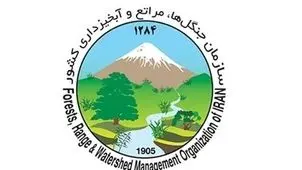 پاسخ «سازمان منابع طبیعی و آبخیزداری کشور»  به گزارش «شرق»