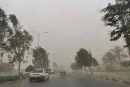 سرعت تندباد در اردبیل به ۱۰۸ کیلومتر بر ساعت رسید/ ویدیو