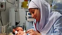 رفتار عجیب برخی زائوها در شرایط جنگ